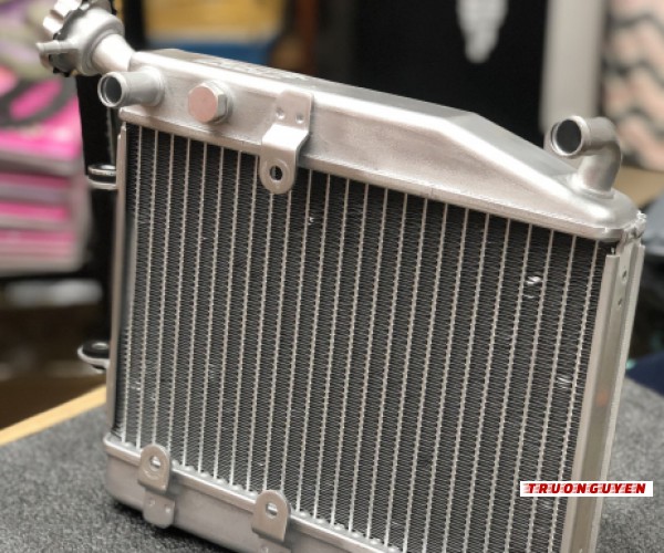 Két nước Exciter155